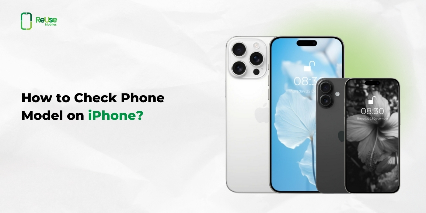 How to Check Phone Model on iPhone?